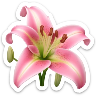 lily flower sticker
