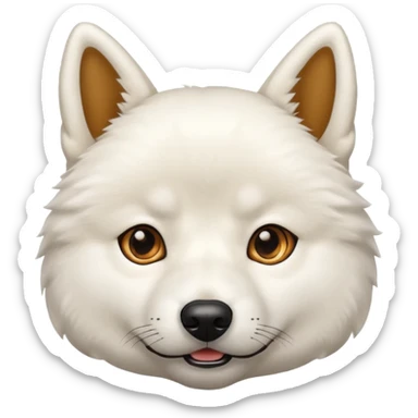 White Jindo dog has shrap face sticker