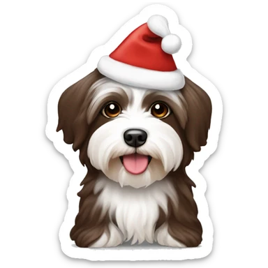 Chocolate and white Havanese in Santa hat sticker