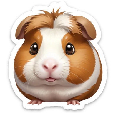 Cinematic Cute Brown and White Banded Guinea Pig Portrait Emoji, Head tilted playfully and inquisitively, showcasing a fluffy fur with playful brown and white banded patterns, round, sparkling dark eyes filled with curiosity, Simplified yet irresistibly adorable features, highly detailed, glowing with a warm, friendly glow, high shine, affectionate and spirited, stylized with a touch of whimsy, bright and endearing, soft glowing outline, capturing the essence of a mischievous yet loving guinea pig, so playful it feels like it could dash out of the screen and into your arms! sticker