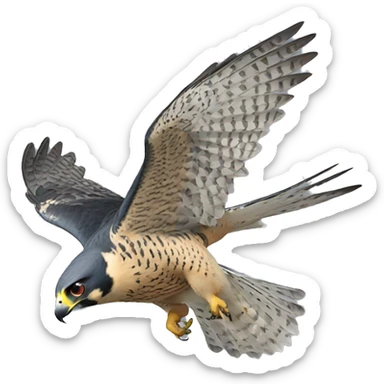 peregrine falcon flying sticker