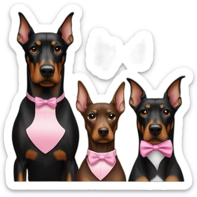 3-dobermans-including-one-white-with-a-pink-bow-tie-on-the-neck,-one-black-and-one-brown sticker