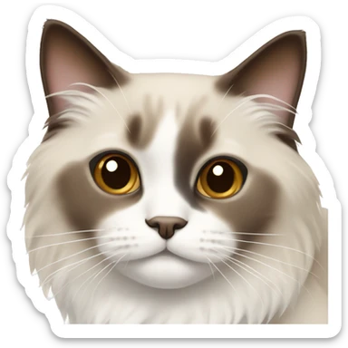 A ragdoll cat with brown and beige with a white bow  sticker