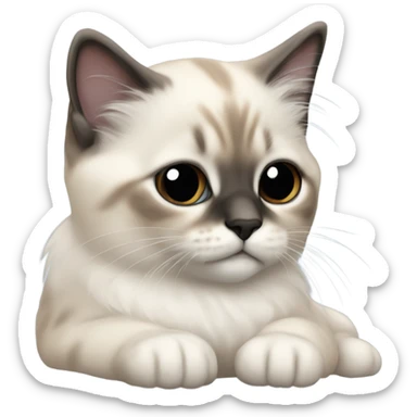 an entire birman kitten, small face, some spots of dark on the ears and middle of the face, laying down relaxed on a shoulder. sticker