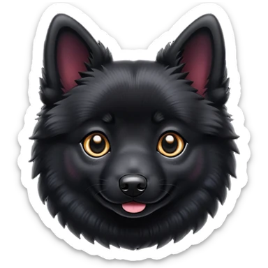 Schipperke  sticker