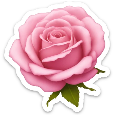 pink rose sticker