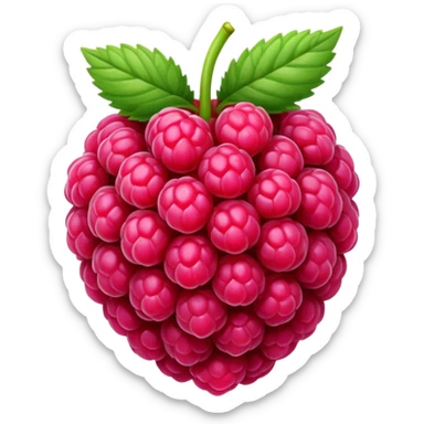dark pink raspberry sticker