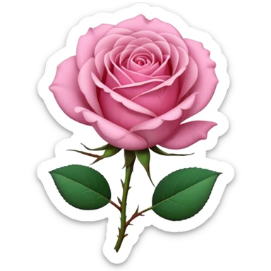 pink girly framed photo of something girly sticker