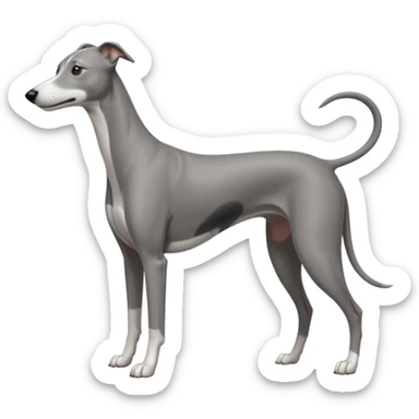 greyhound sticker