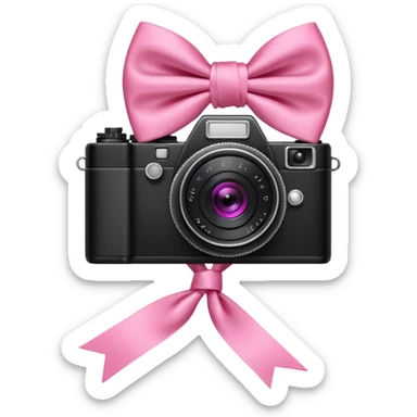pink bow and camera sticker