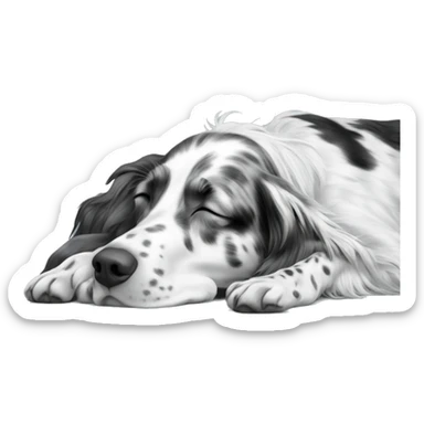 English setter black and White sleeping in a coverage  sticker
