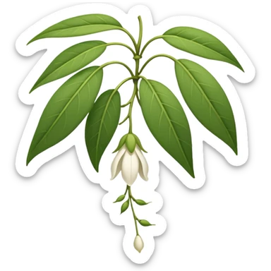 wilted jasmine emoji sticker