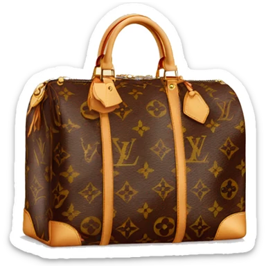Louis vuitton bag with euros sticker