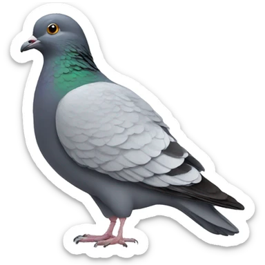 Pigeon sticker