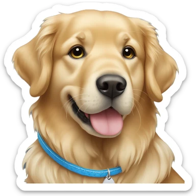 Golden Retriever mit blauem Halsband  sticker