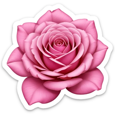 Polaroid photo of a pink rose  sticker