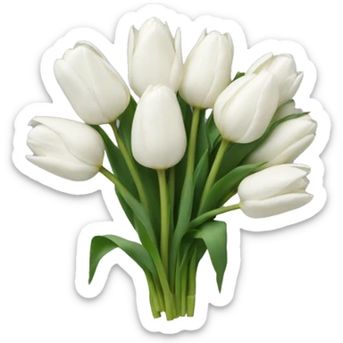 Bunch of white tulips with a bow sticker