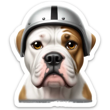 American bulldog with cropped ears wearing a raiders helmet sticker