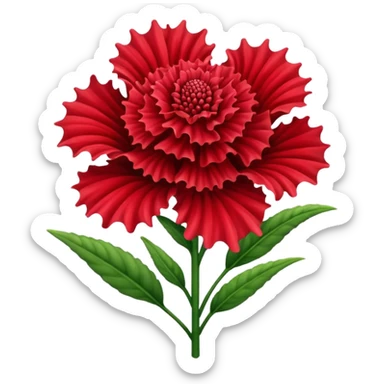 celosia plant flower sticker