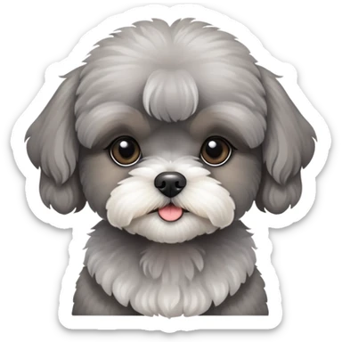 Grey Poodle Shih Tzu Girl Puppy sticker