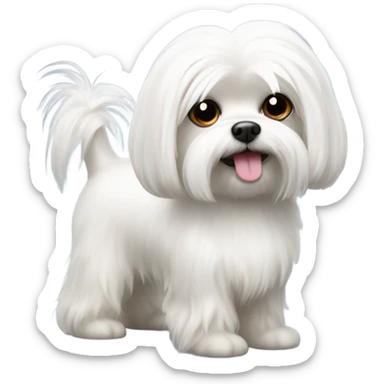 Maltese  sticker