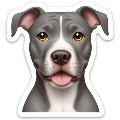 Grey female pitbull with brown eyes sticker