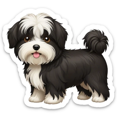 ALL black Havanese dog  sticker