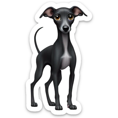 Black Italian greyhound puppy  sticker