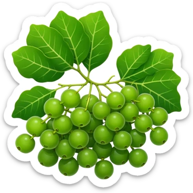 sea grape which is green looking like a grape. but way more tiny ones sticker