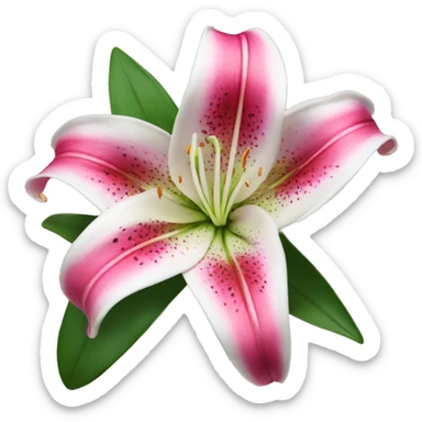 stargazer lily with brighter pink petals sticker