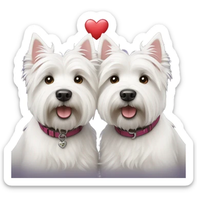 Two white highland terriers in love  sticker