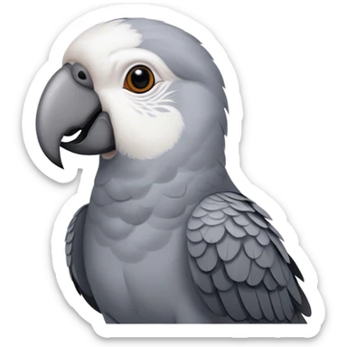 Happy African gray parrot sticker