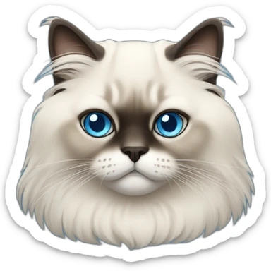 Himalayan cat with blue eyes sticker