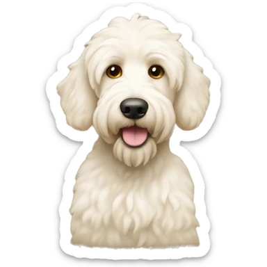 White labradoodle with beige ears sticker