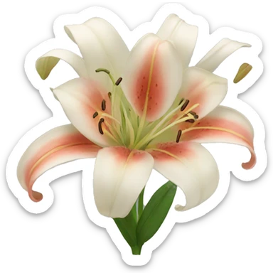 lillies sticker