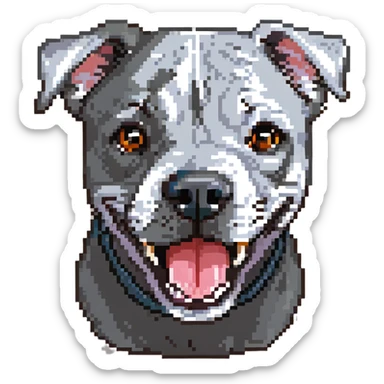round circle puppy head full grey bleu staffy, big open mouth, big tongue out, stupid expression sticker