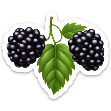 Blackberry sticker