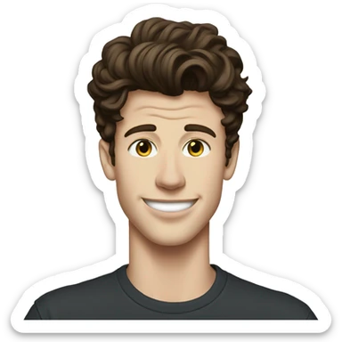 shawn mendes with t shirt  sticker