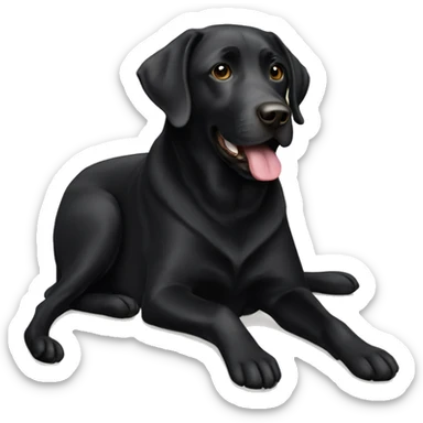 Black lab sticker