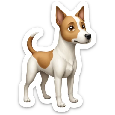 a full body large white parson russell looking dog the size of a kelpie with light brown flapped down ears and a light brown patch on one eye and a large snout sticker