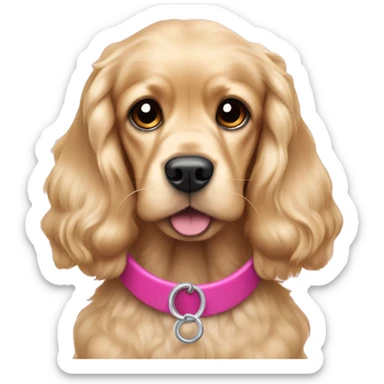 Blond cocker spaniel wearing a pink sleighbell sticker