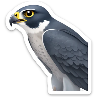 Peregrine falcon sticker