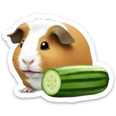 Guinea pig eat cucumber sticker