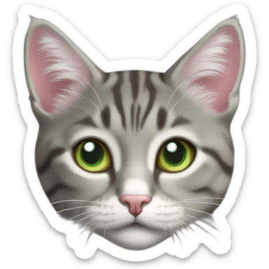 Tabby gray cat with white mouth and white fur above nose and pink nose and light green eyes sticker