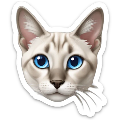 blue eyes Lynx point siamese cat sticker