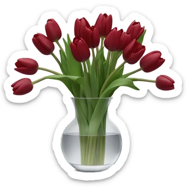 Dark red tulips stem in clear vase sticker