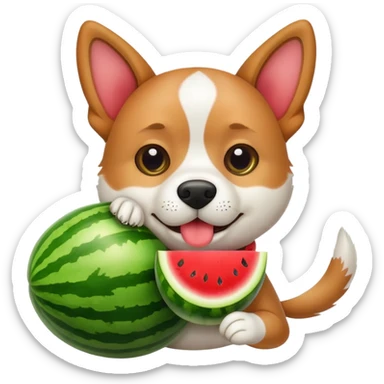 Dog holding watermelon  sticker