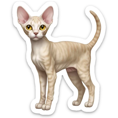Devon Rex Full Body sticker