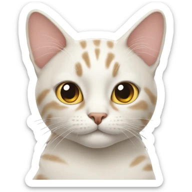 Cat sticker