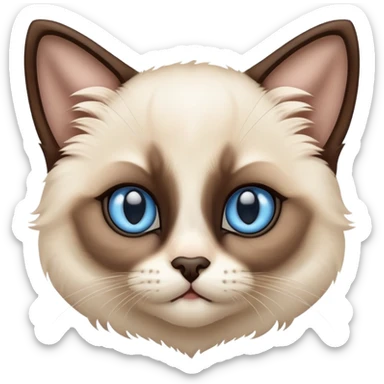 Siamese  kitten sticker